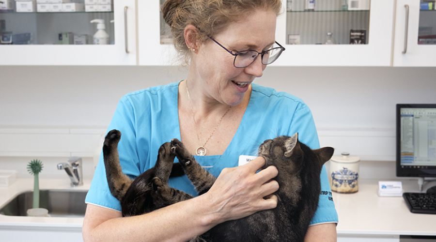 OMSORG ♥ FAGLIGHED ♥ EMPATI