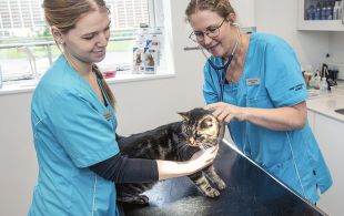 Omsorg, faglighed og empati